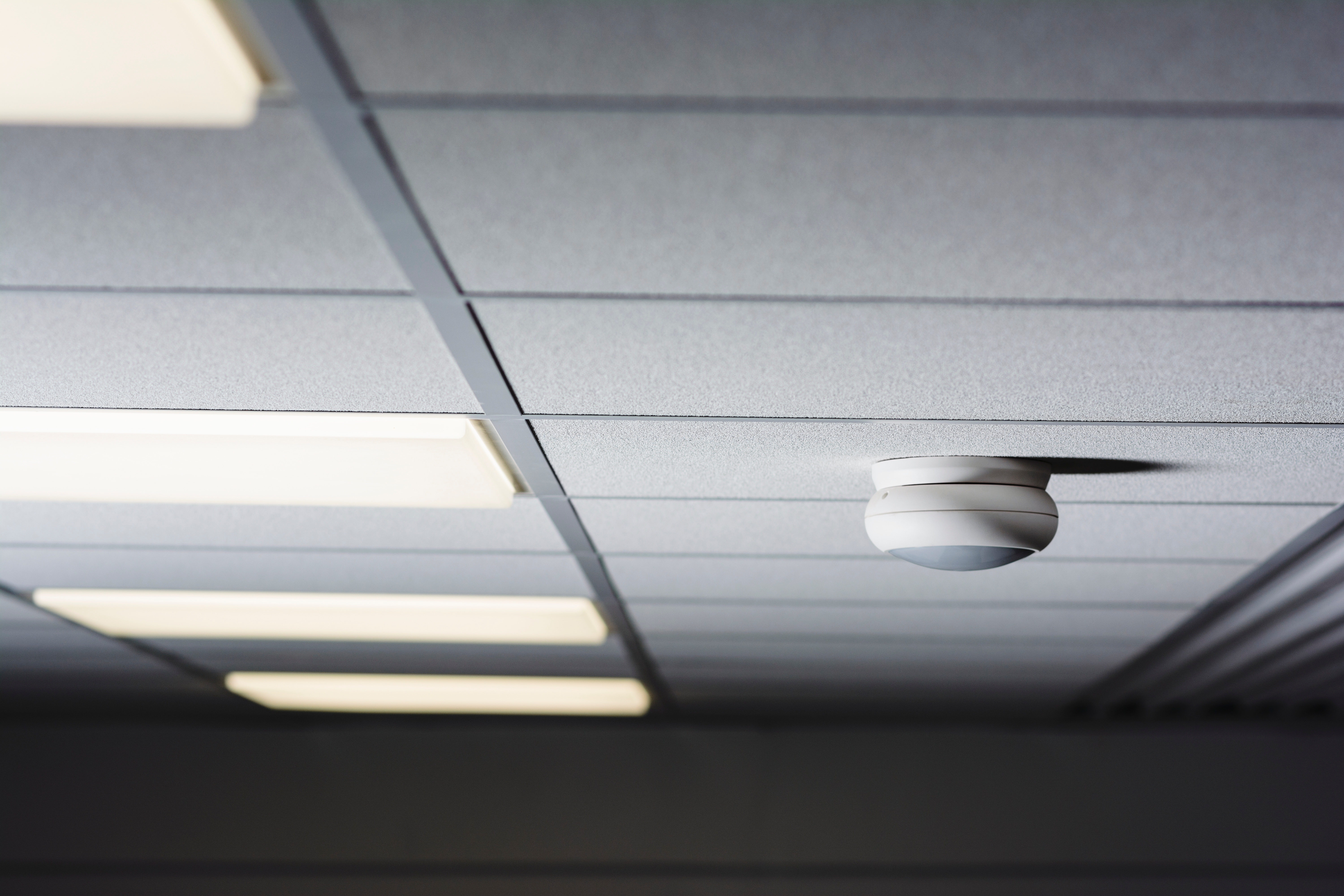 The Guide to Occupancy Sensors for Your Workplace